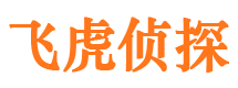 拉萨侦探公司